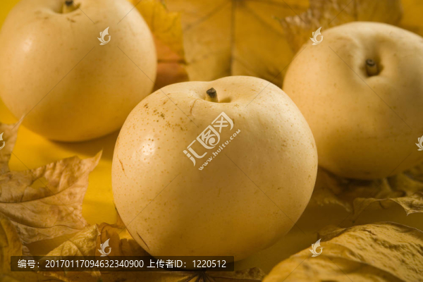 楓葉上的蘋果