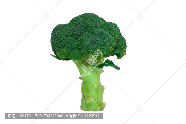 西蘭花