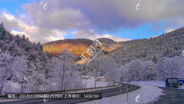 白雪皚皚