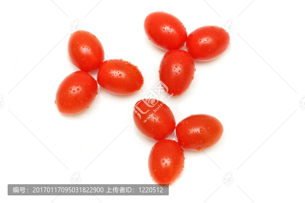 番茄花