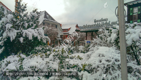 雪村,,雪景