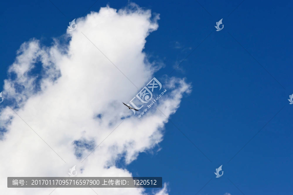 鳥；天空和云
