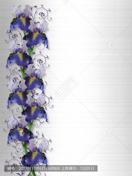 虹膜花緣邀請(qǐng)