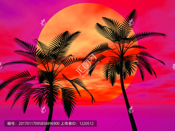 太陽下的棕櫚樹