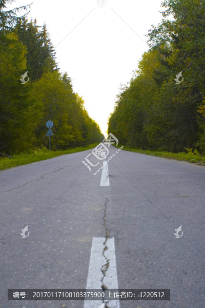 林中之路