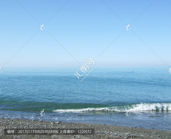 海