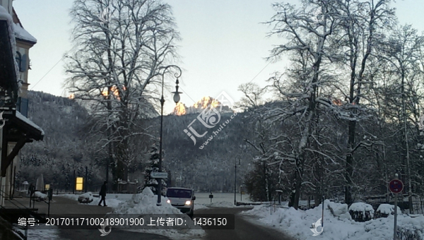 雪地樹林