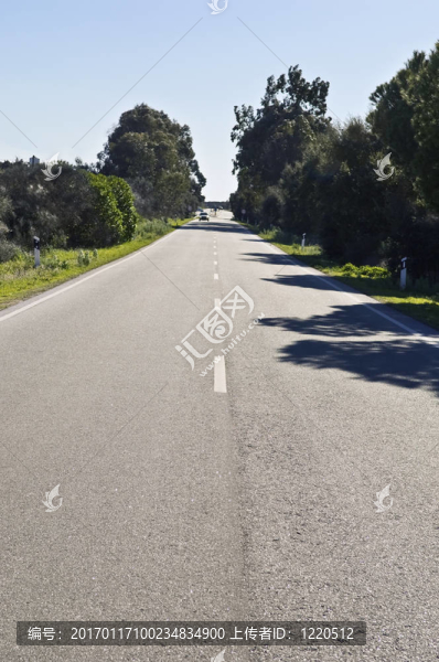 筆直的路