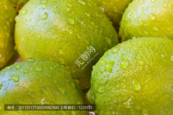 酸橙