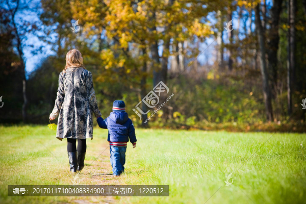 秋天的家庭-匯圖網(wǎng) www.fosd68.com 秋天的家庭
