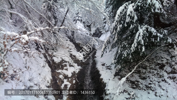 積雪,,,雪景