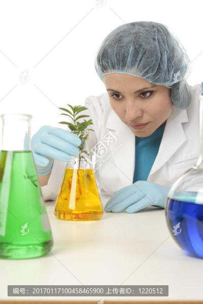 在研究實驗室的科學(xué)家