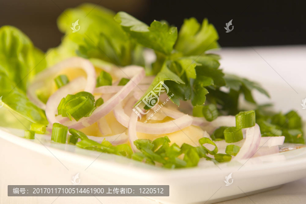 土豆加鯡魚；白盤子上的洋蔥和歐芹