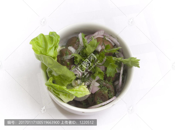 鹽漬蘑菇用洋蔥；沙拉；歐芹和蒔蘿