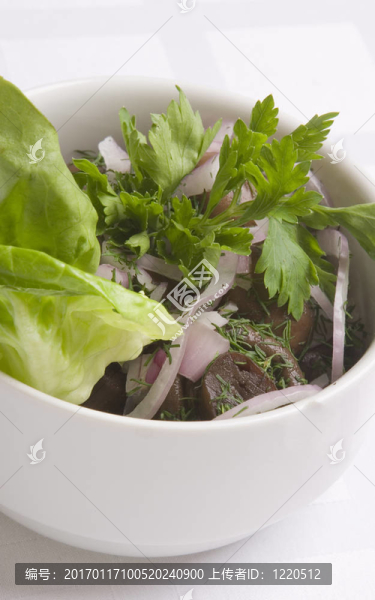 鹽漬蘑菇用洋蔥；沙拉；歐芹和蒔蘿