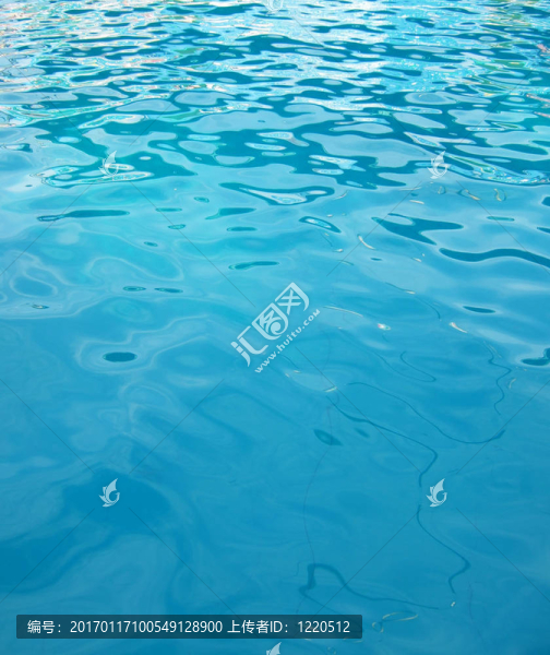 游泳池的水
