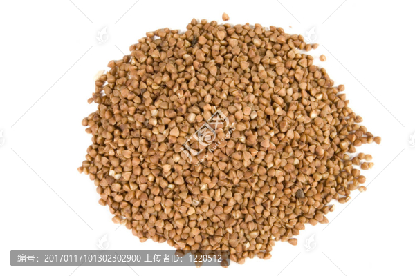 白地上的蕎麥