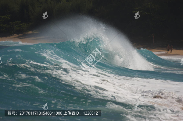 戲劇性的Shorebreak,Wave