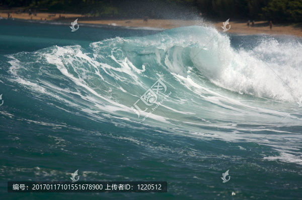 戲劇性的Shorebreak,Wave