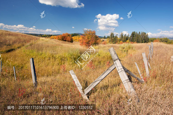 美麗的秋天景觀與鄉(xiāng)村圍欄