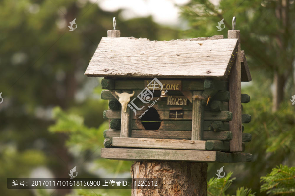 質(zhì)樸的鳥舍-匯圖網(wǎng) www.fosd68.com 質(zhì)樸的鳥舍