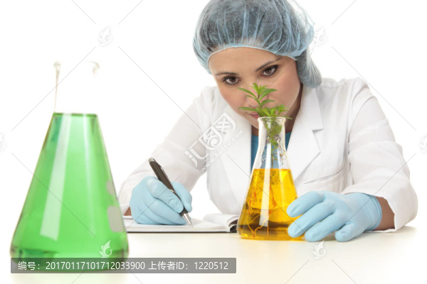 植物學(xué)家研究植物的科學(xué)家