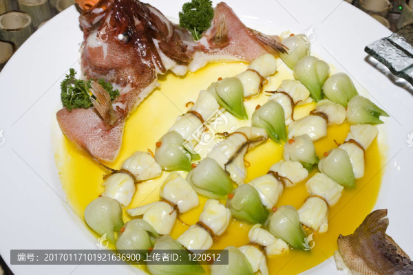 中國的魚粉