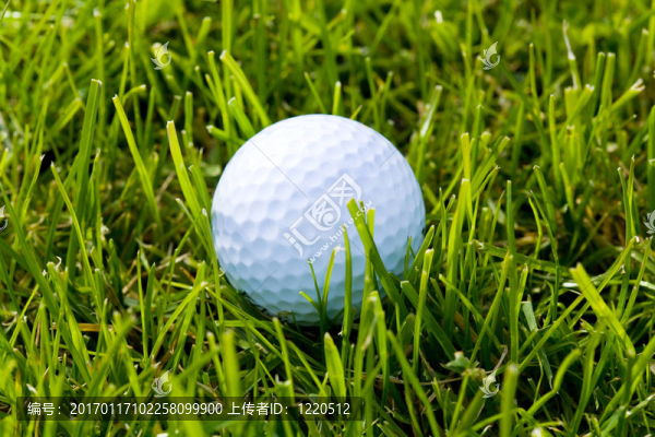 Golf,Ball和草