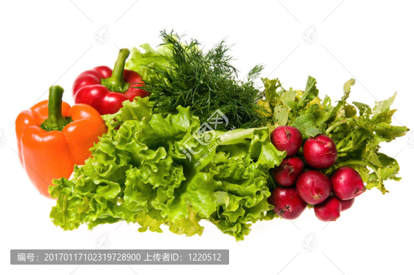 蔬菜