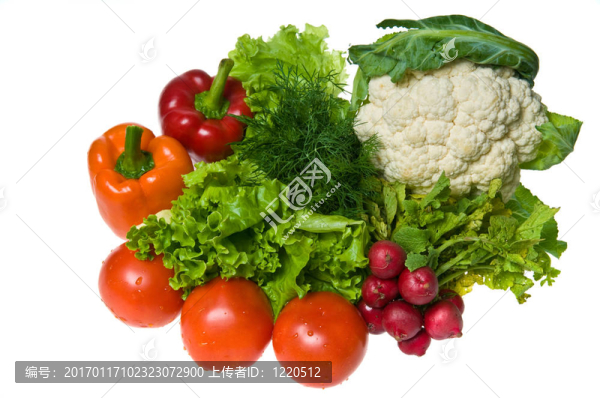 蔬菜