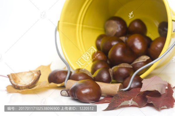 栗子溢出FR