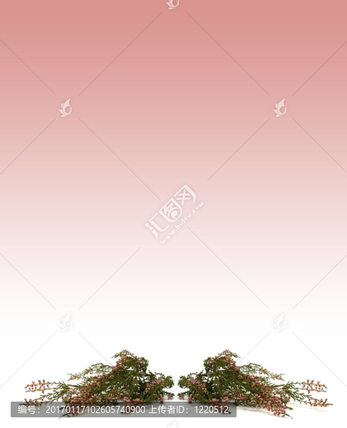 希瑟分支圖像卡