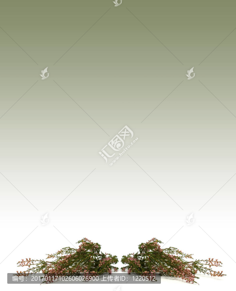 希瑟分支圖像卡