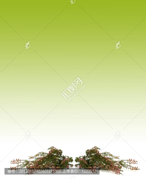 希瑟分支圖像卡
