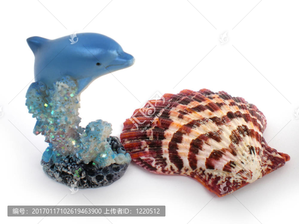 海豚雕像在珊瑚