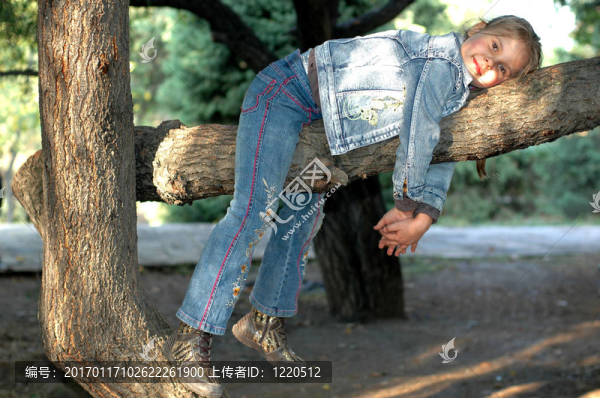 女孩和樹