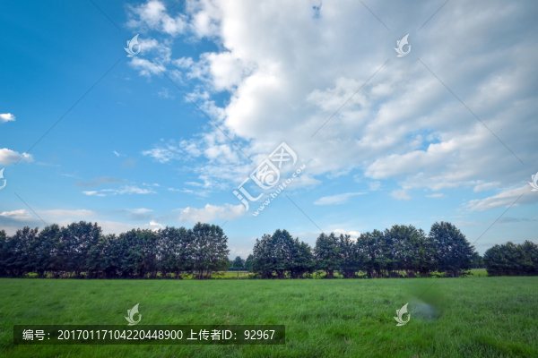 荷蘭綠化環(huán)境