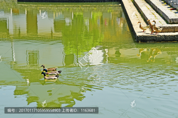 深奧古村