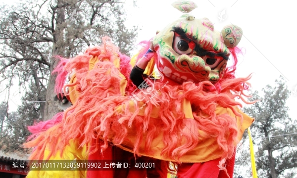 舞獅子表演