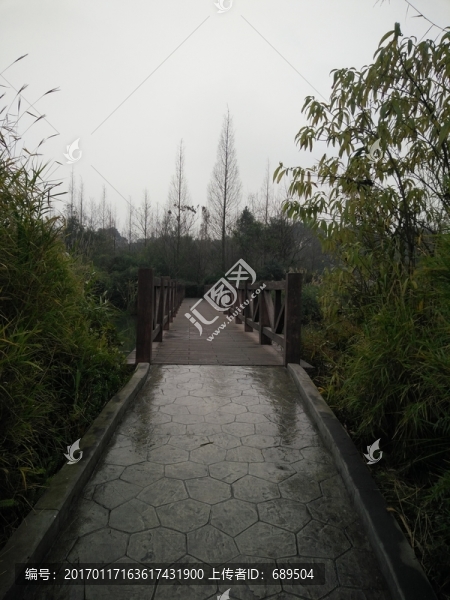 浣花溪景