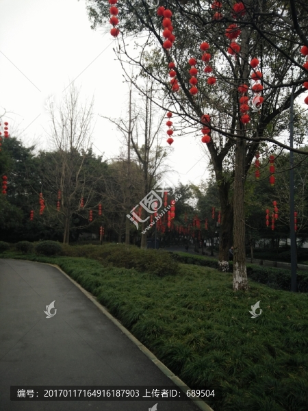 浣花溪畔樹景