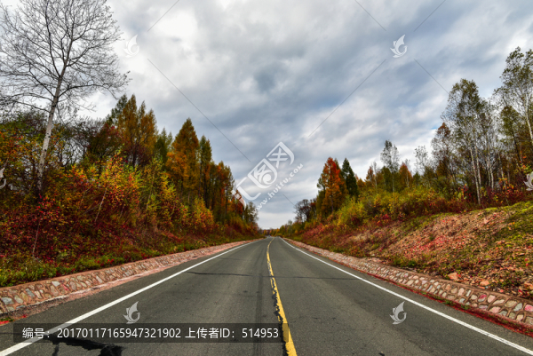 路