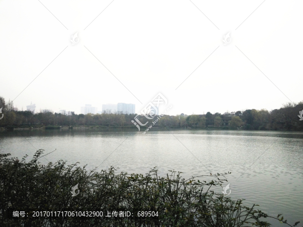浣花溪畔觀鳥(niǎo)