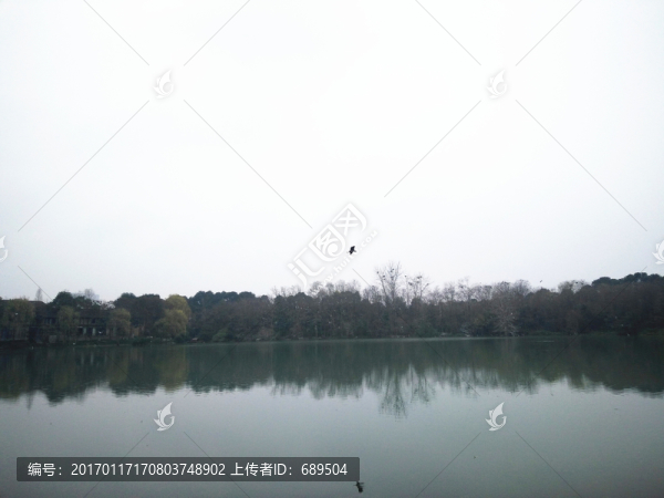 浣花溪觀鳥