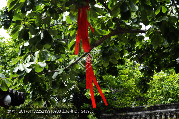 許愿紅絲帶