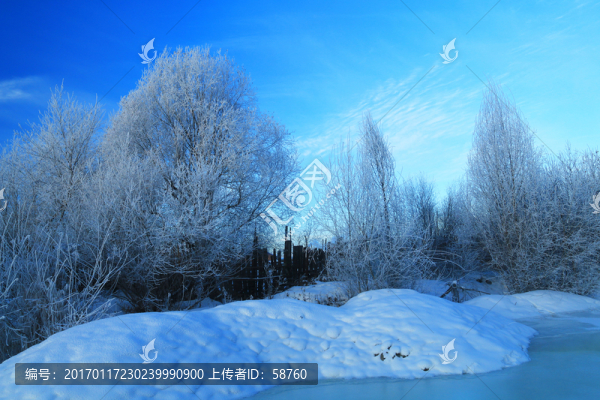 樹林霧凇