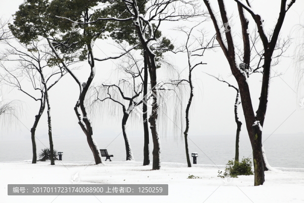 冬日西湖