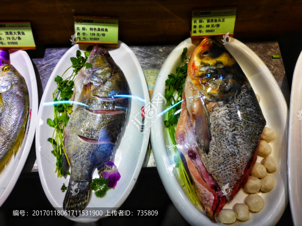 生魚菜譜