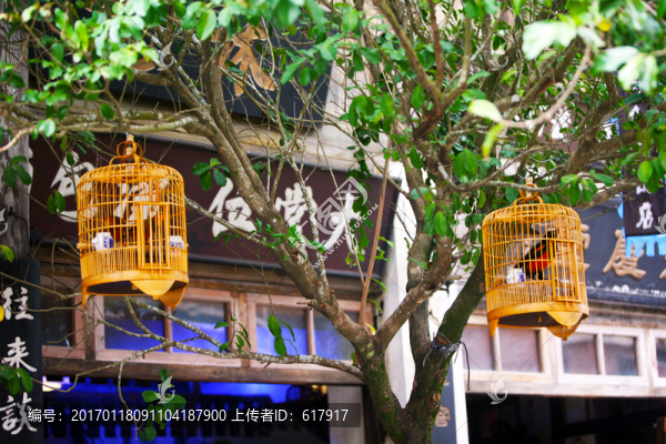 鳥籠