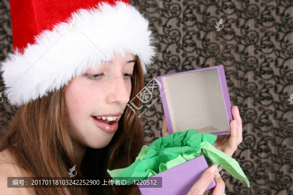 圣誕美女